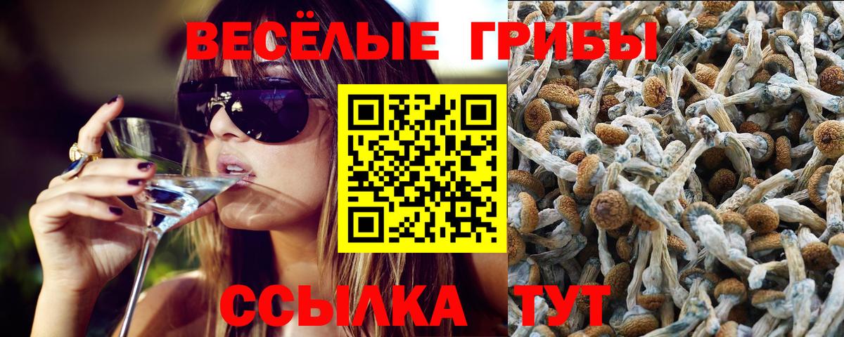 Галлюциногенные грибы мухоморы  купить   Каспийск  Вход с VPN 
